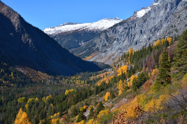 Fall Colors from Holden Trail