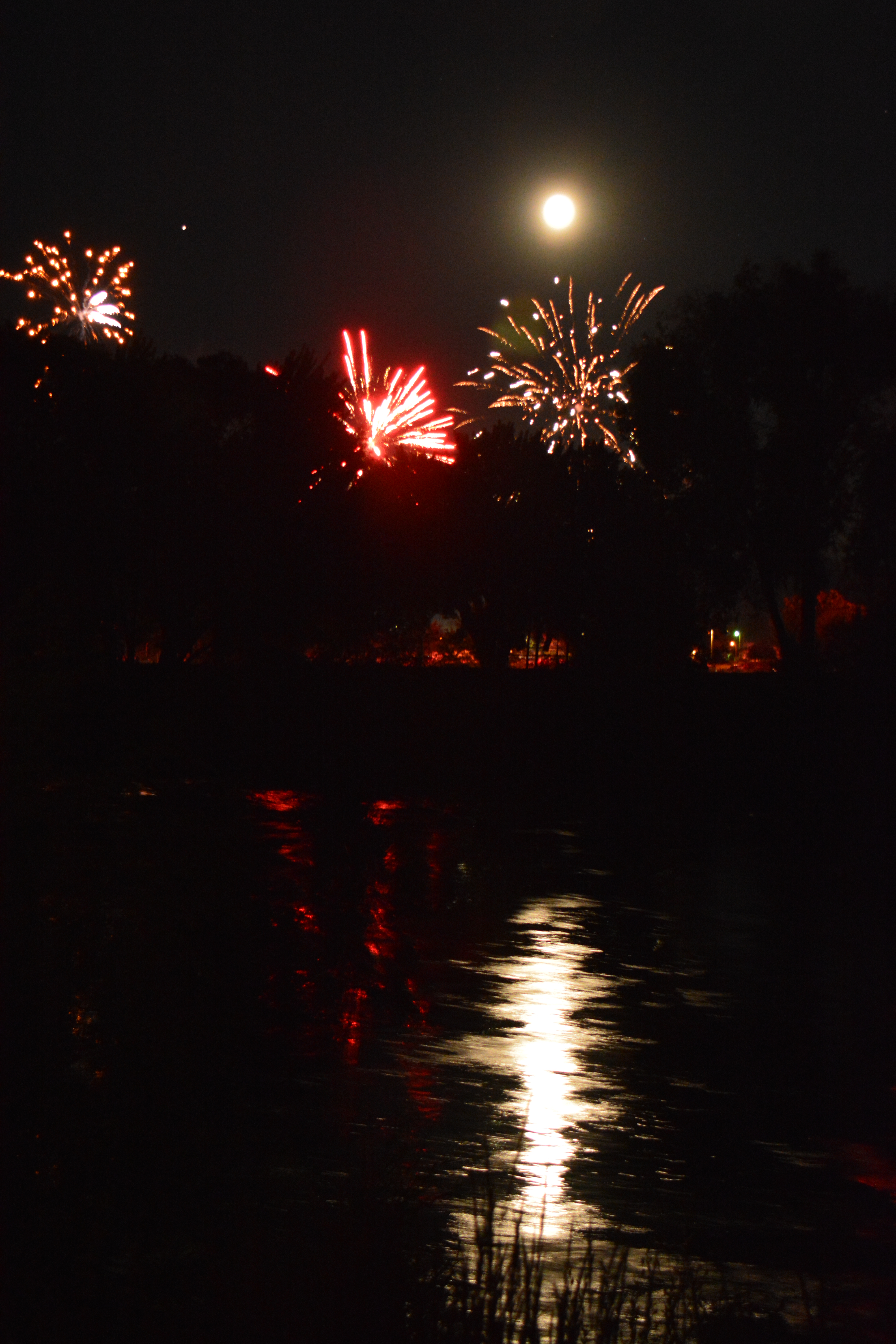 DSC_0223